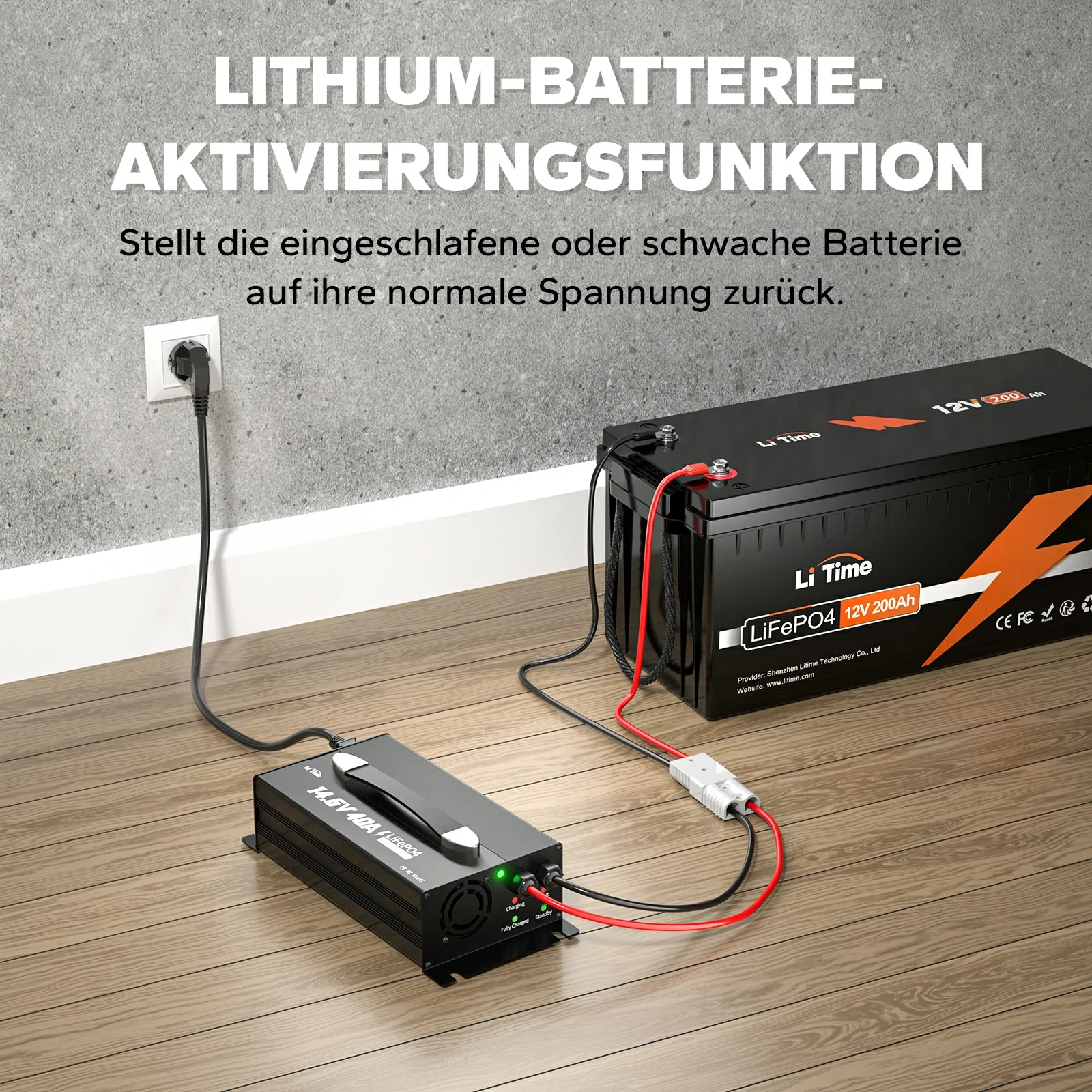 Punjač LiFePO4 12V 40A - slika 8